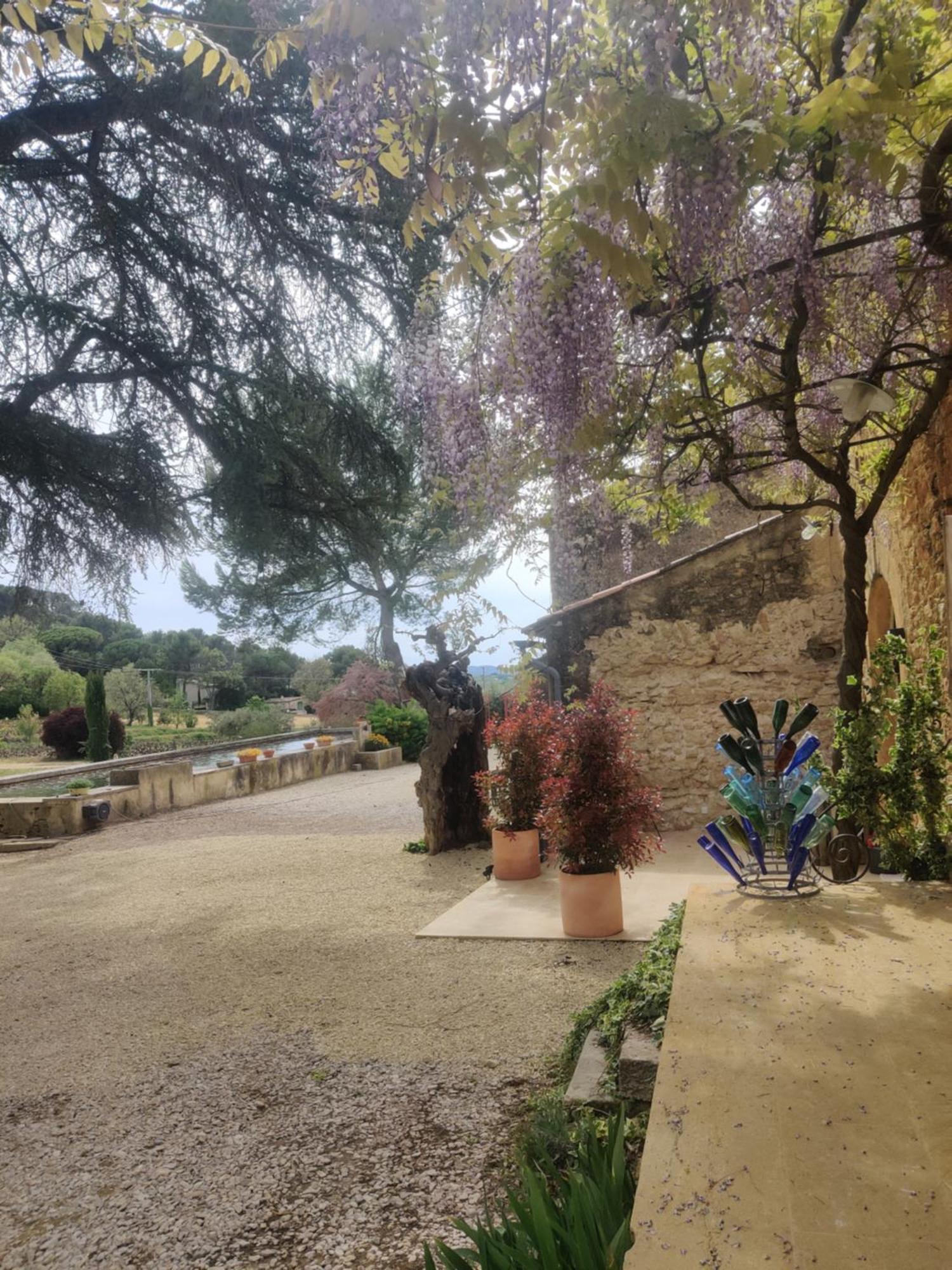 Charme Et Authenticite Dans Une Ferme. Lourmarin Dış mekan fotoğraf